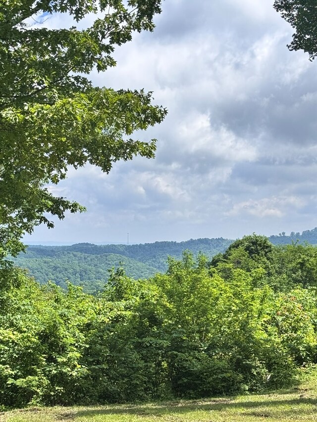 LOT026C Rockfish Rd, Hilham, TN 38551