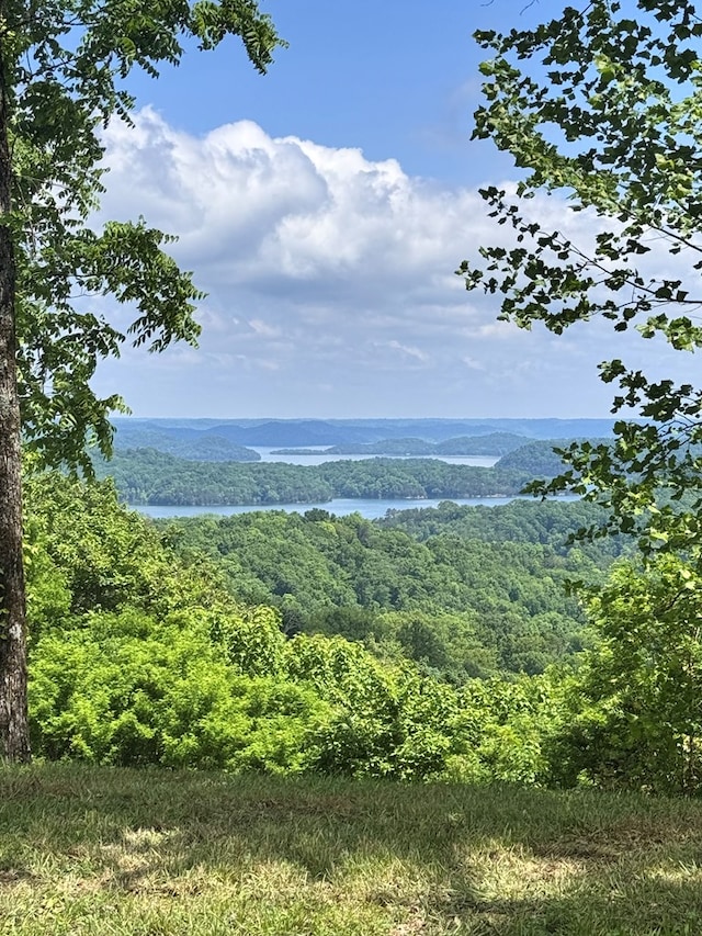 LOT026C Rockfish Rd, Hilham, TN 38551