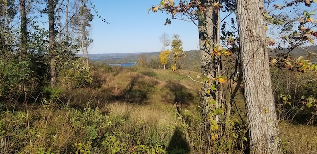 LOT7C Swan Ridge Rd, Hilham, TN 38568