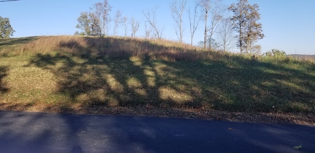 LOT7C Swan Ridge Rd, Hilham, TN 38568