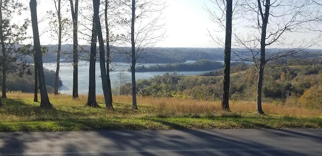 LOT7C Swan Ridge Rd, Hilham, TN 38568