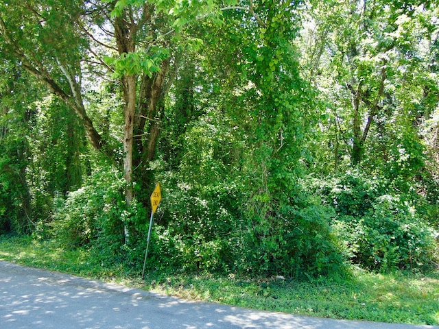 1145 Dowell St, Cookeville, TN 38501 - photo 5