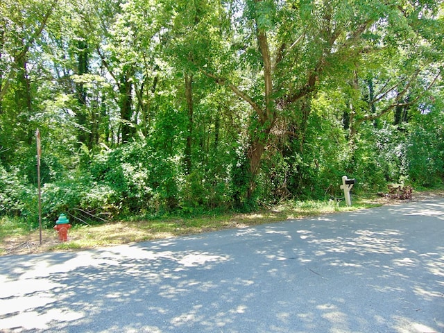 1145 Dowell St, Cookeville, TN 38501 - photo 8