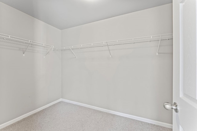 916 Holgate Ct, Nashville, TN 37221 - photo 23