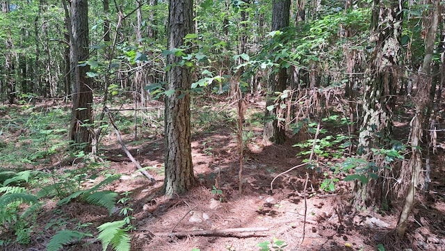 TRACT1 Airport Rd, Piney Creek Acres, Rockwood, TN 37854 - photo 13