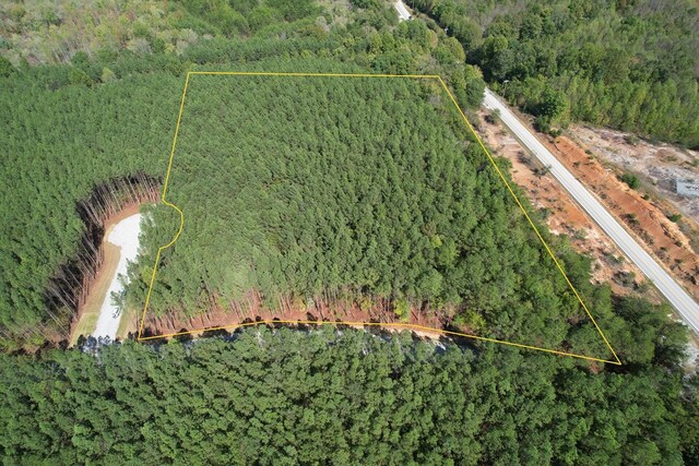 TRACT1 Airport Rd, Piney Creek Acres, Rockwood, TN 37854 - photo 17