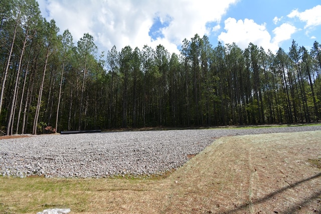 TRACT1 Airport Rd, Piney Creek Acres, Rockwood, TN 37854 - photo 16