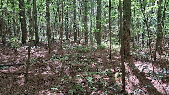 TRACT1 Airport Rd, Piney Creek Acres, Rockwood, TN 37854 - photo 3