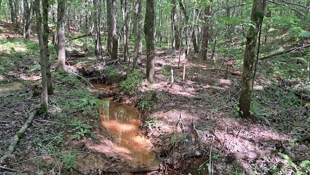 TRACT1 Airport Rd, Piney Creek Acres, Rockwood, TN 37854 - photo 1