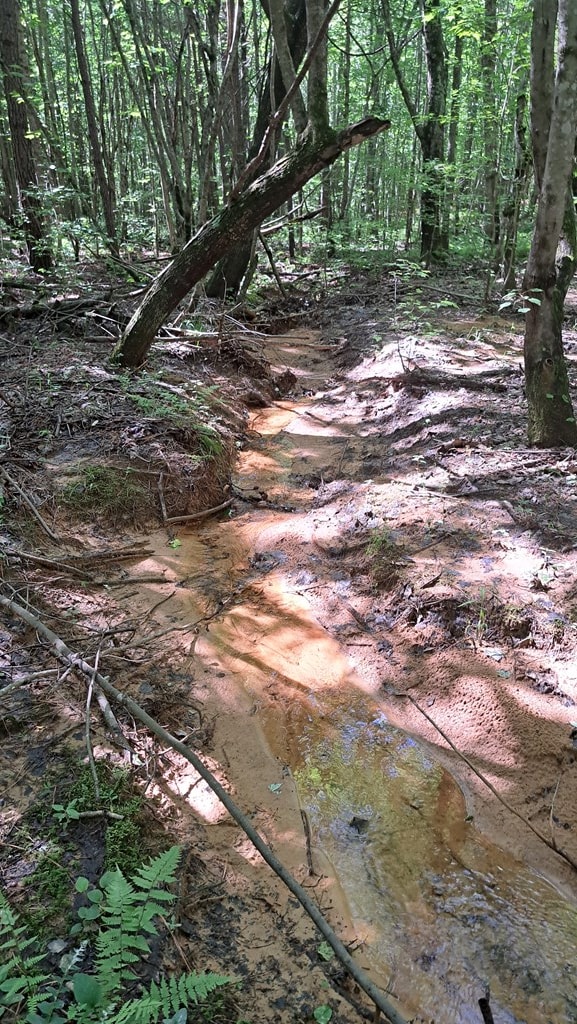 TRACT1 Airport Rd, Piney Creek Acres, Rockwood, TN 37854 - photo 14