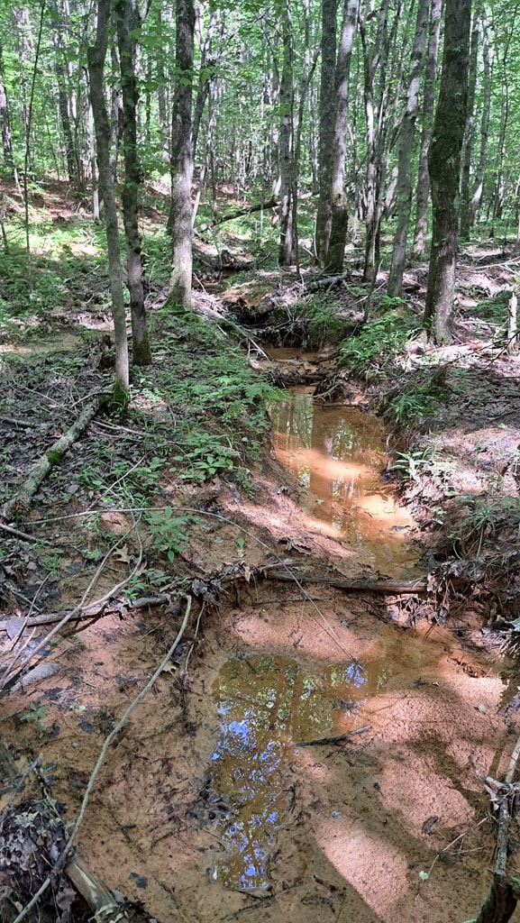 TRACT1 Airport Rd, Piney Creek Acres, Rockwood, TN 37854 - photo 9