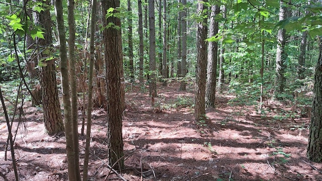 TRACT1 Airport Rd, Piney Creek Acres, Rockwood, TN 37854 - photo 2