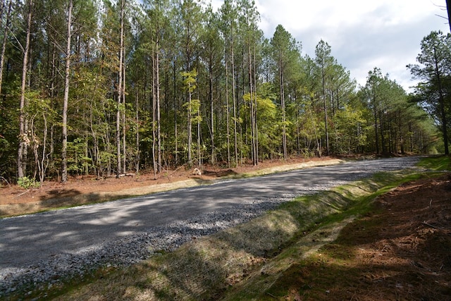 TRACT1 Airport Rd, Piney Creek Acres, Rockwood, TN 37854 - photo 15