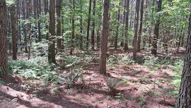 TRACT1 Airport Rd, Piney Creek Acres, Rockwood, TN 37854 - photo 5