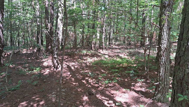 TRACT1 Airport Rd, Piney Creek Acres, Rockwood, TN 37854 - photo 11