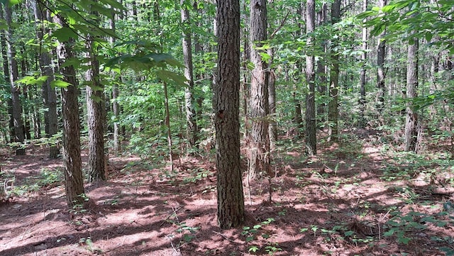 TRACT1 Airport Rd, Piney Creek Acres, Rockwood, TN 37854 - photo 6