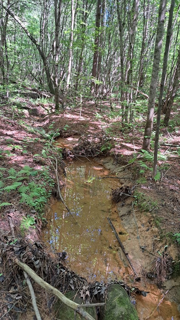TRACT1 Airport Rd, Piney Creek Acres, Rockwood, TN 37854 - photo 4