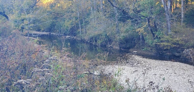 0 Wartrace Hwy Lots 1-4, Pleasant Shade, TN 37145 - photo 14