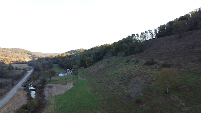 0 Wartrace Hwy Lots 1-4, Pleasant Shade, TN 37145 - photo 11