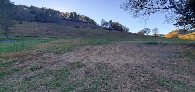 0 Wartrace Hwy Lots 1-4, Pleasant Shade, TN 37145 - photo 4
