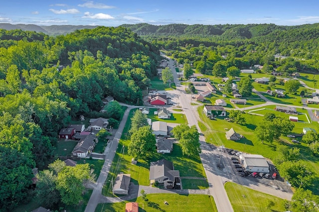 1000 E Lake Ave, Celina, TN 38551 - photo 4