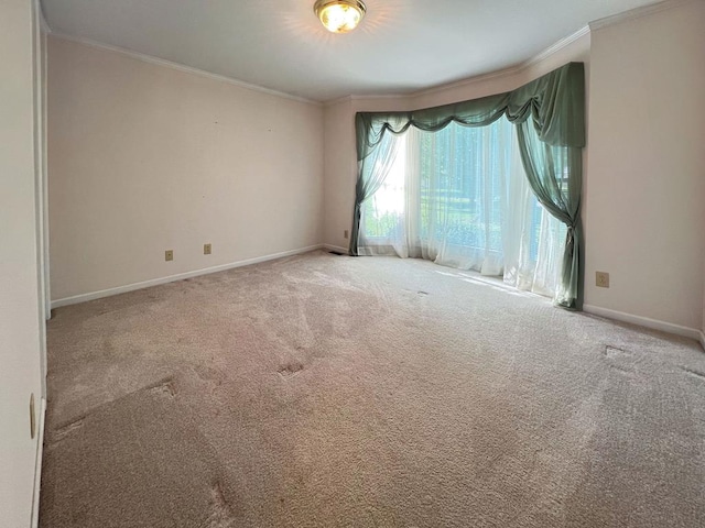985 Walton Trl, Cookeville, TN 38501 - photo 22