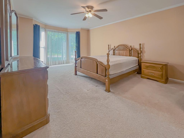 985 Walton Trl, Cookeville, TN 38501 - photo 15