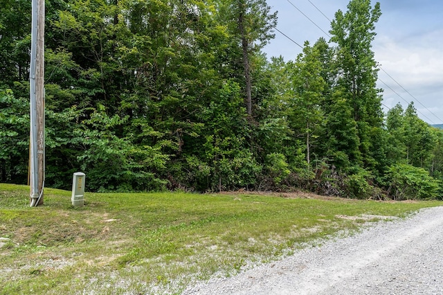 00 W Bobcat Ln, Wilder, TN 38589 - photo 10