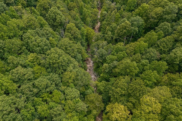 00 W Bobcat Ln, Wilder, TN 38589 - photo 3
