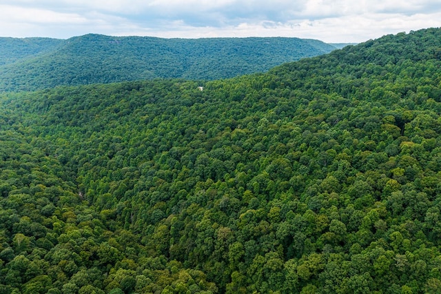 00 W Bobcat Ln, Wilder, TN 38589 - photo 7