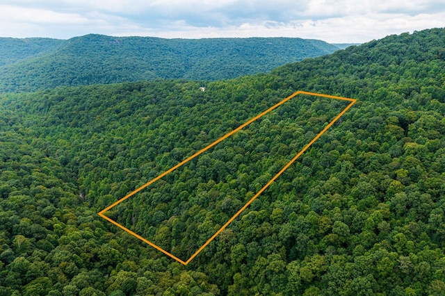 00 W Bobcat Ln, Wilder, TN 38589 - photo 6