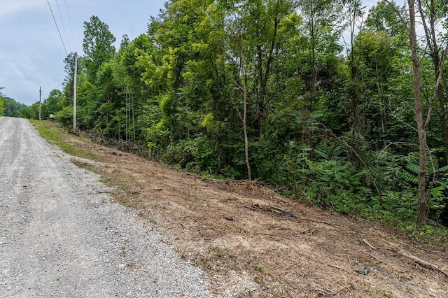 00 W Bobcat Ln, Wilder, TN 38589 - photo 2