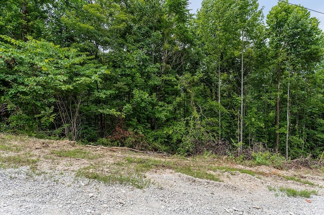 00 W Bobcat Ln, Wilder, TN 38589 - photo 11