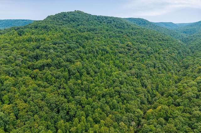 00 W Bobcat Ln, Wilder, TN 38589 - photo 5