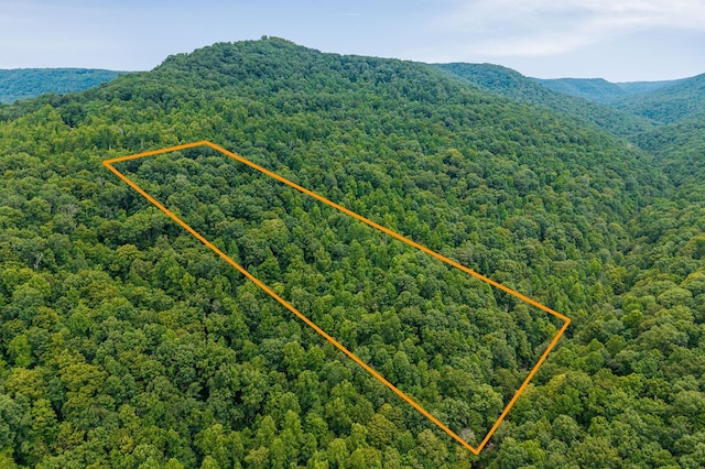 00 W Bobcat Ln, Wilder, TN 38589 - photo 4