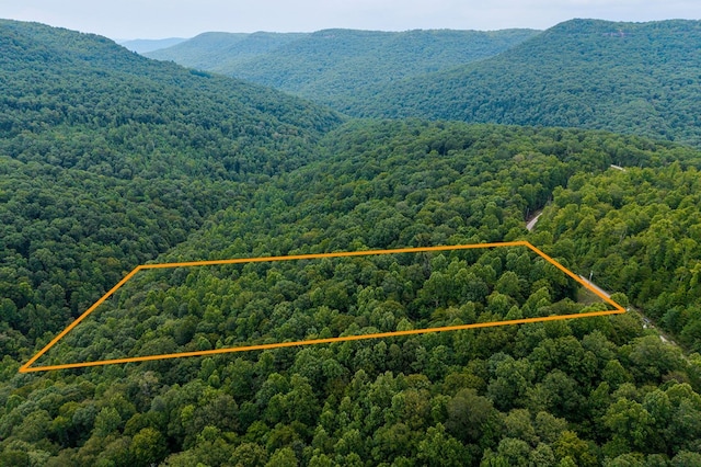 00 W Bobcat Ln, Wilder, TN 38589 - photo 8