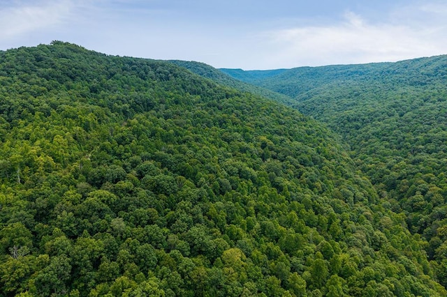 00 W Bobcat Ln, Wilder, TN 38589 - photo 1