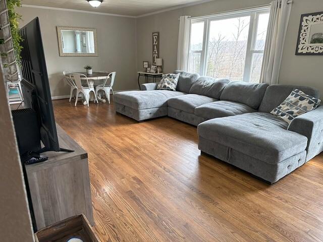 living room featuring baseboards, wood finished floors, and crown molding