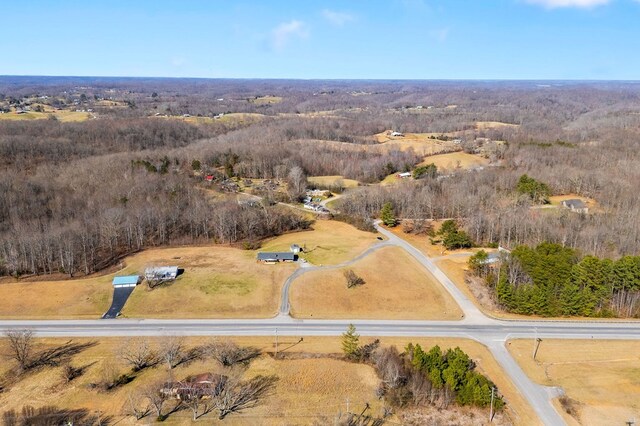 4680 S Grundy Quarles Hwy, Bloomington Springs, TN 38545 - photo 40