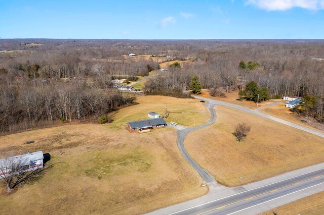 4680 S Grundy Quarles Hwy, Bloomington Springs, TN 38545 - photo 39