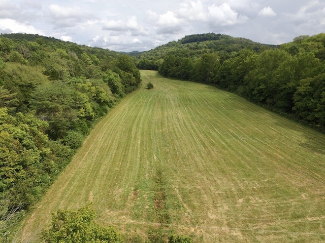 642 Club Springs Rd, Buffalo Valley, TN 38548 - photo 12