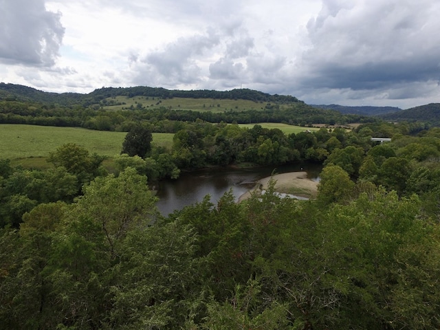 642 Club Springs Rd, Buffalo Valley, TN 38548 - photo 11