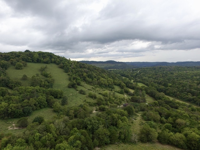 642 Club Springs Rd, Buffalo Valley, TN 38548 - photo 25