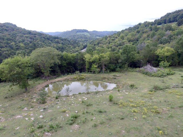 642 Club Springs Rd, Buffalo Valley, TN 38548 - photo 24