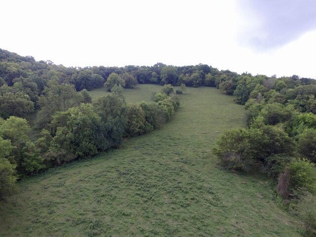 642 Club Springs Rd, Buffalo Valley, TN 38548 - photo 19
