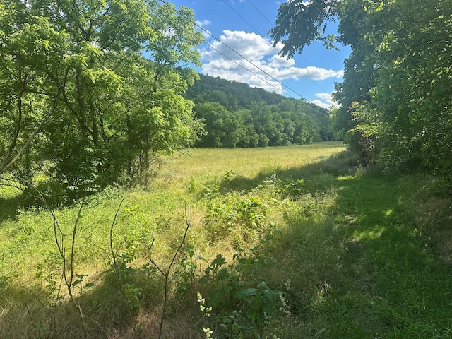 642 Club Springs Rd, Buffalo Valley, TN 38548 - photo 7