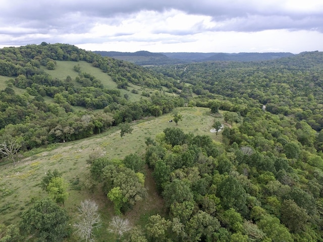 642 Club Springs Rd, Buffalo Valley, TN 38548 - photo 26