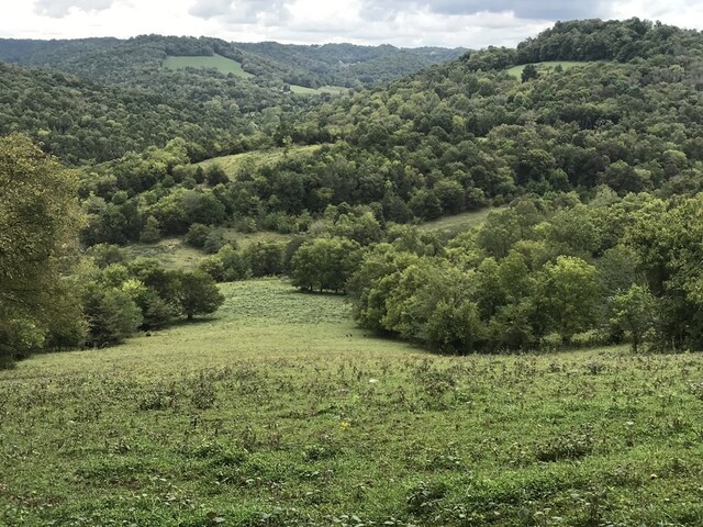 642 Club Springs Rd, Buffalo Valley, TN 38548 - photo 15