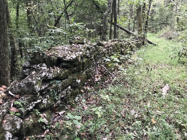 642 Club Springs Rd, Buffalo Valley, TN 38548 - photo 21