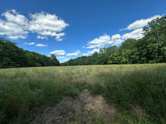 642 Club Springs Rd, Buffalo Valley, TN 38548 - photo 2